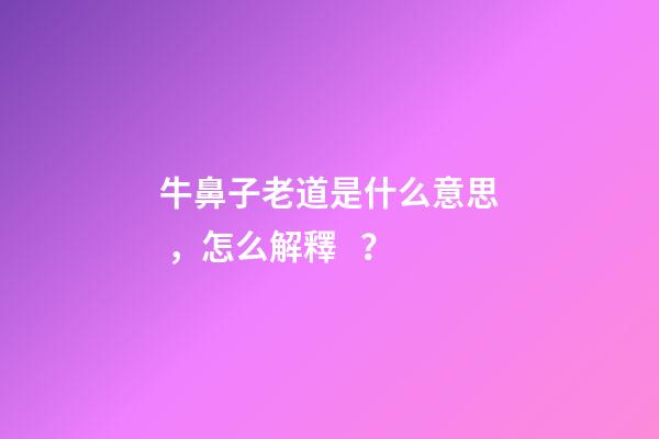 牛鼻子老道是什么意思，怎么解釋？
